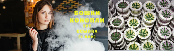 шишки Анива