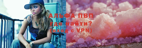 шишки Анива