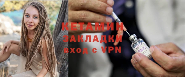 шишки Анива
