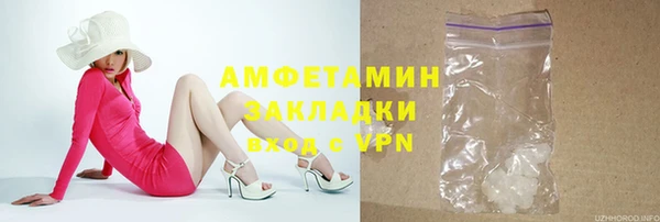 шишки Анива