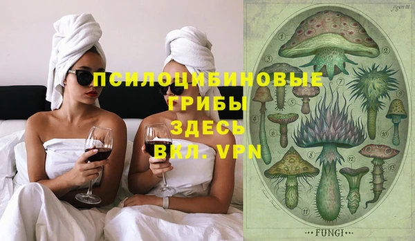 PSILOCYBIN Анжеро-Судженск