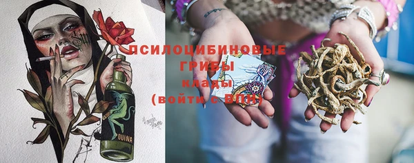 шишки Анива