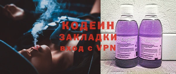 шишки Анива