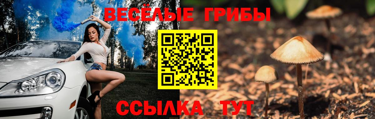 Галлюциногенные грибы MAGIC MUSHROOMS Нижневартовск